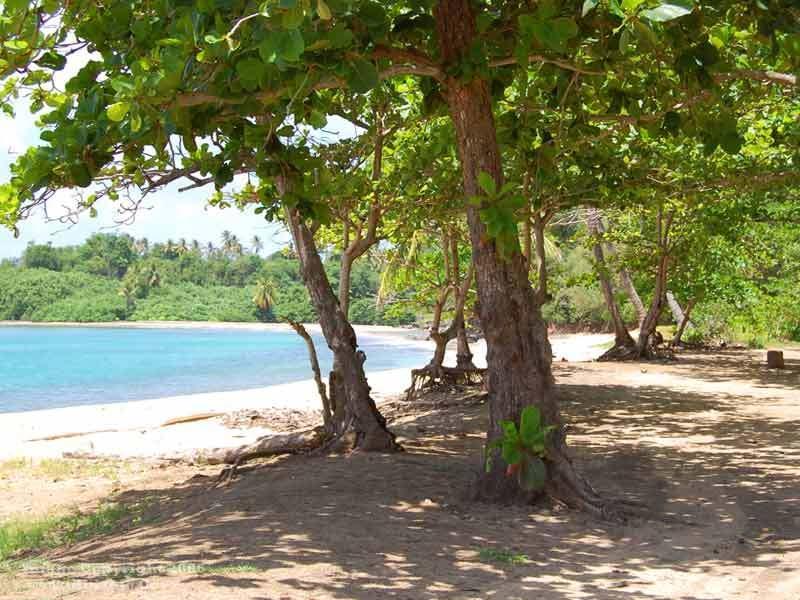 Calibishie Cove Hotel Kültér fotó